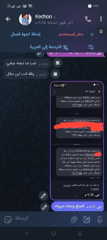 استثمر فلوسك ربح حلال