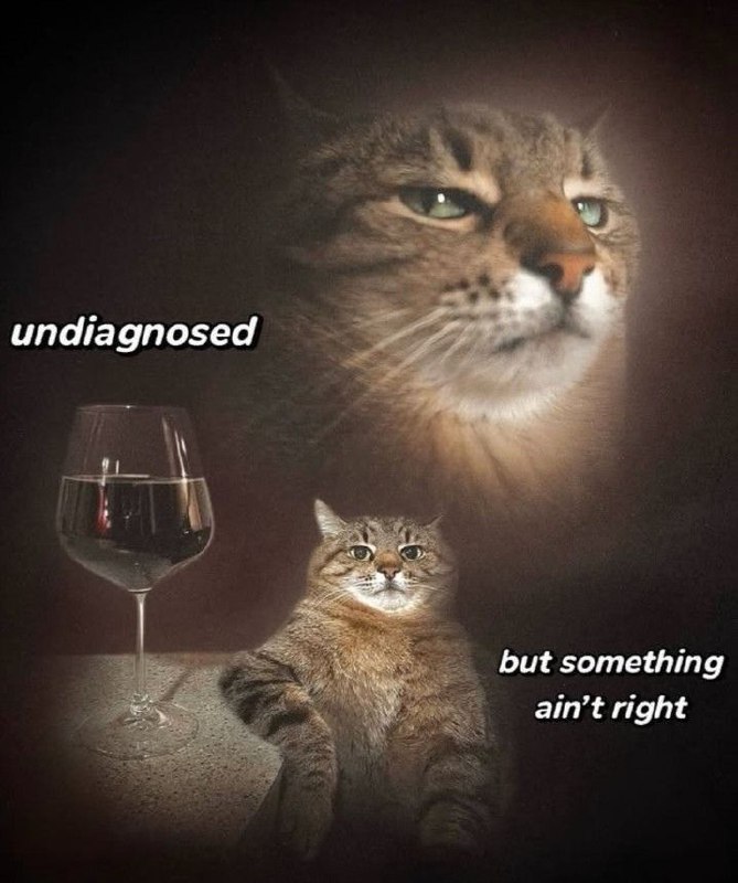 ֆƈɦɨʐօ ɢʟǟֆֆ