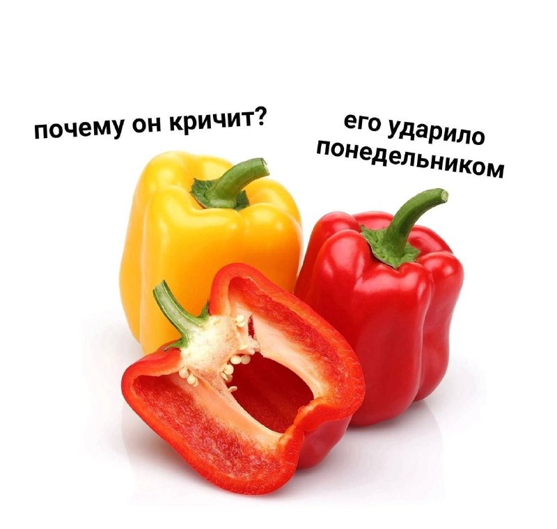 Психотронный каземат