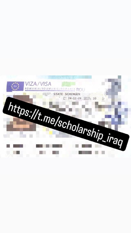 Iraqi scholarships