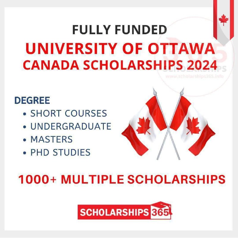 Scholarships365.info