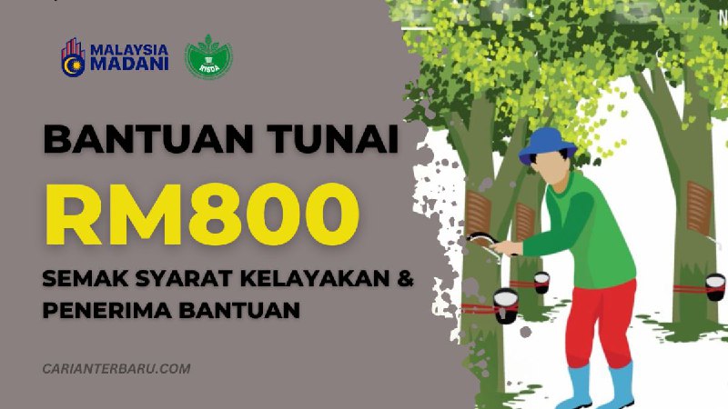 Program bantuan tunai RISDA RM800 untuk …