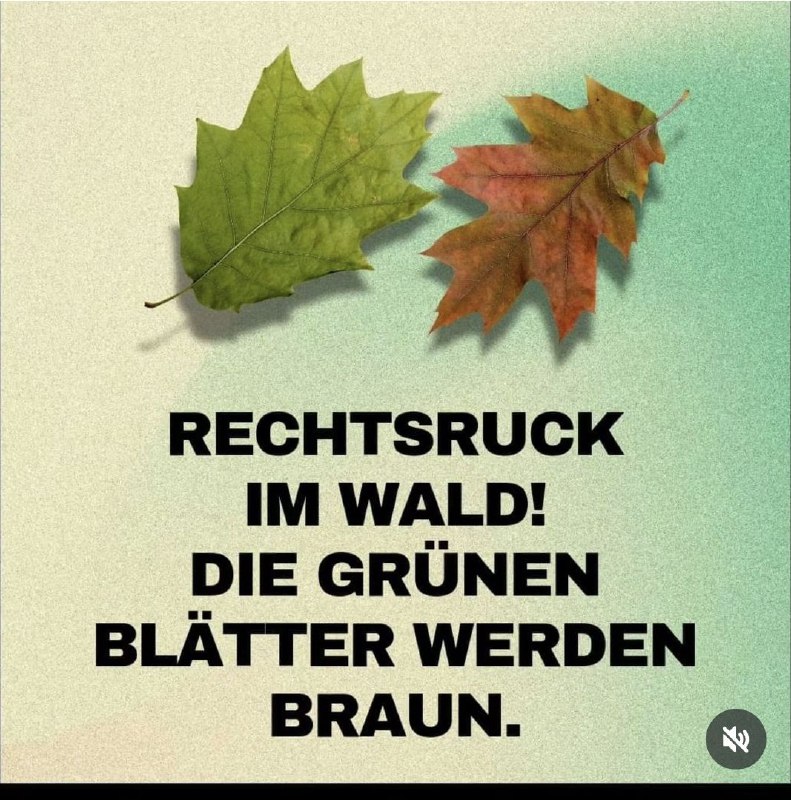 ***😂*****ACHTUNG: Wald wird Nazi ***‼️***