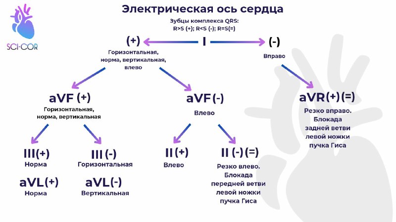 Sci-Cor | Медицина