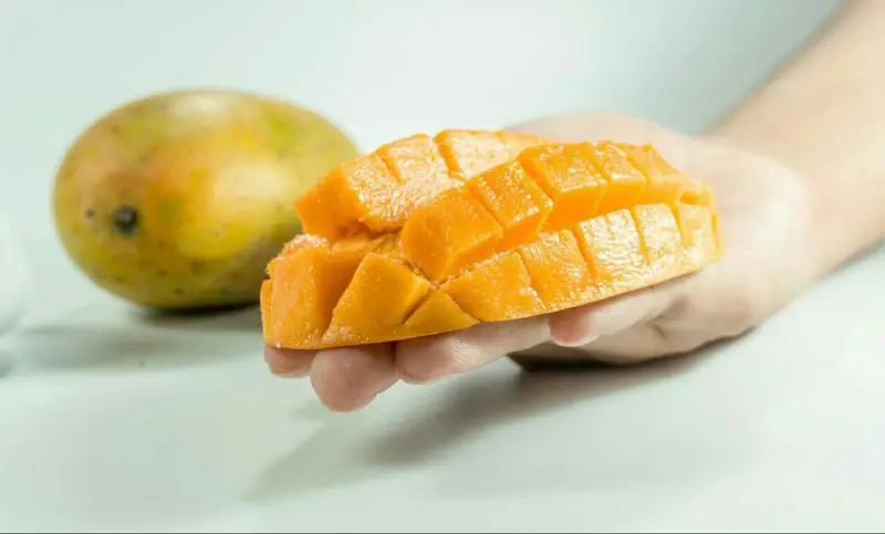 The mango is the most popular …