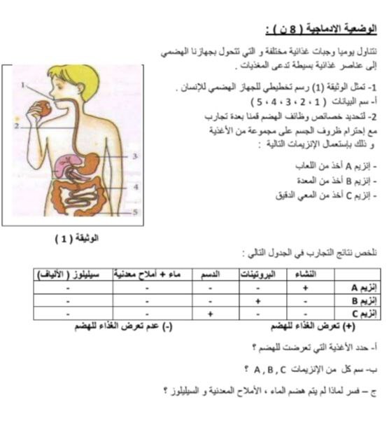 العلوم الطبيعية 2024/2025