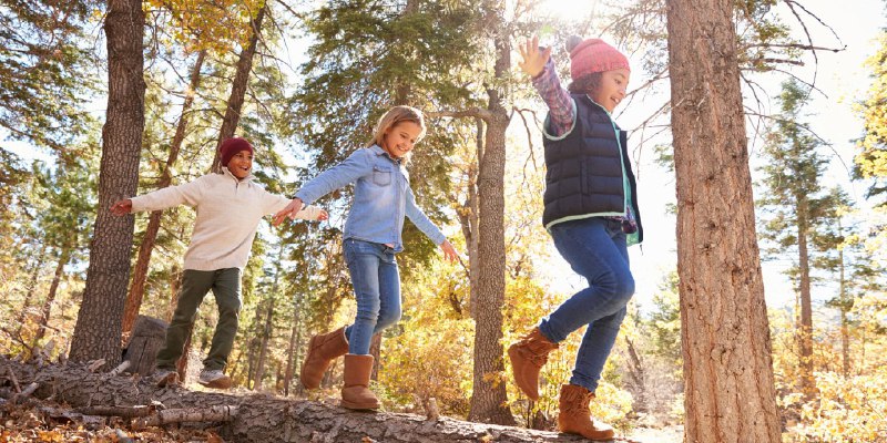 **Tree-covered neighborhoods linked to lower ADHD risk in children. The study suggests that tree-covered areas might encourage children to be …