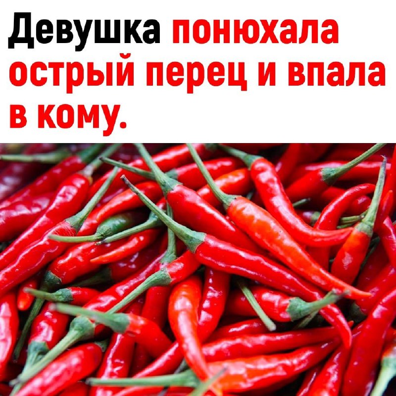 Наука | Техника | Открытия