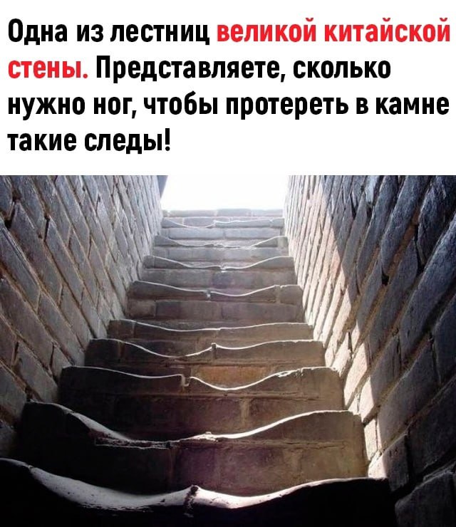 Наука | Техника | Открытия