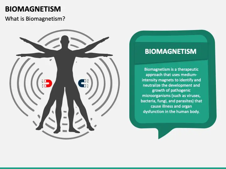 **What is Biomagnetism?** ***✅***