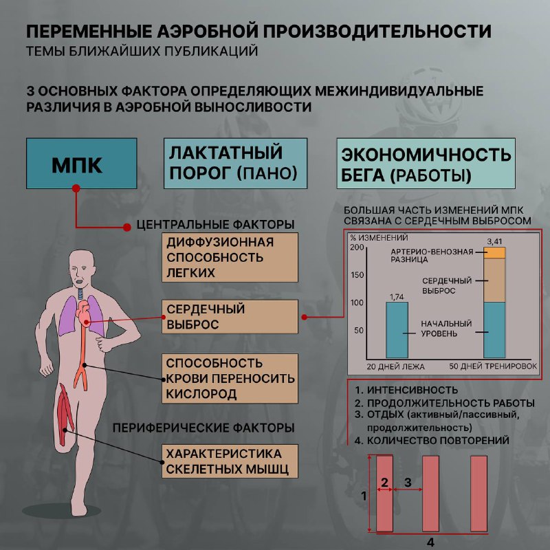 В ближайшее время хочу сделать ряд …