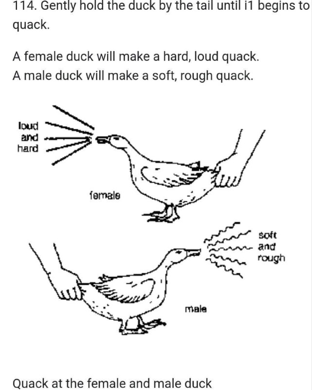 Science Diagrams that Look Like Shitposts