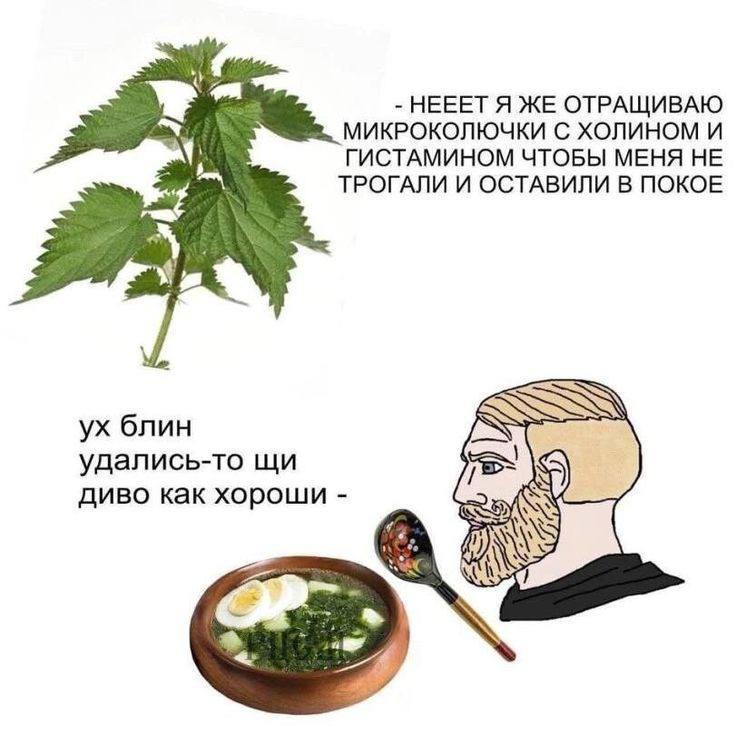 канал поставок
