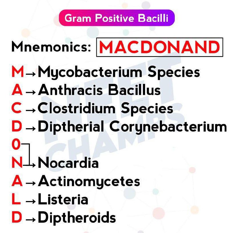 Microbiology 🧫🦠🔬Zliten آلُدِفَعةّ آلُسآبْعةّ