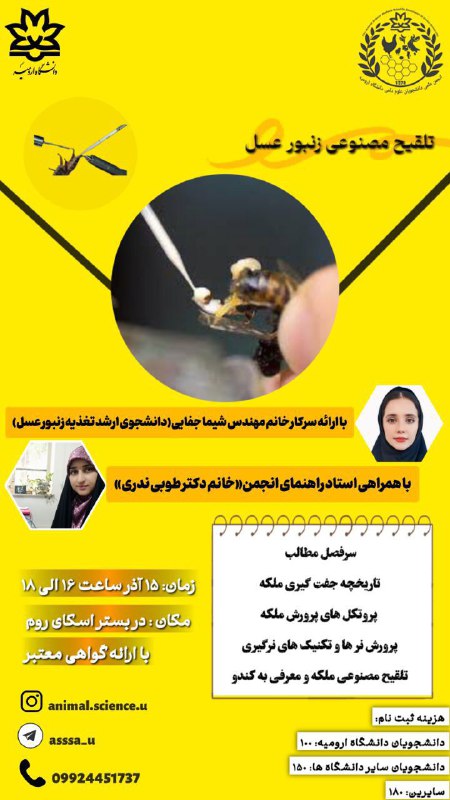 تلقیح مصنوعی زنبور عسل***🐝***