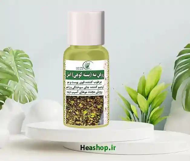 Photo from Abolfazl Mirghasemi