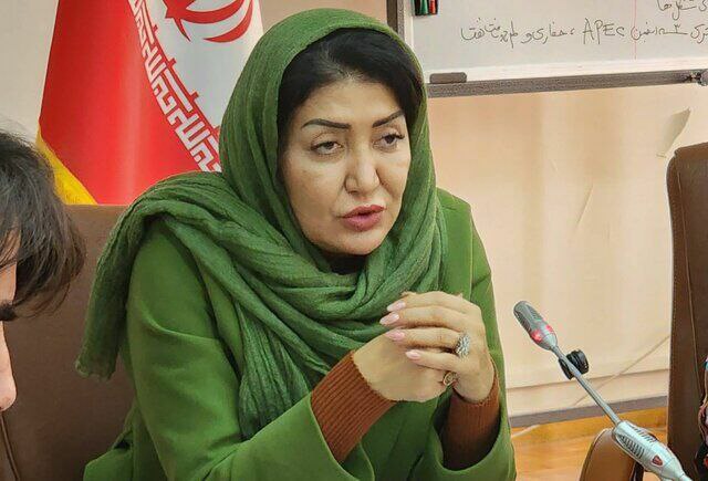 ***?***مرجان هوشیار : نظارت ضعیف مهندسین …