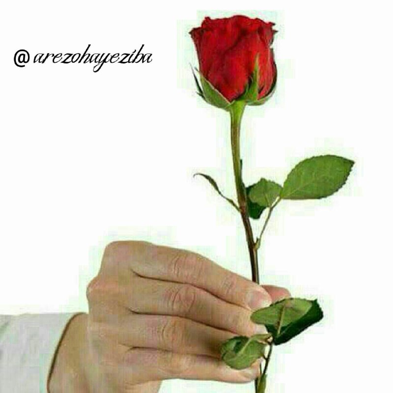 هر کی آنلاینه ***?***