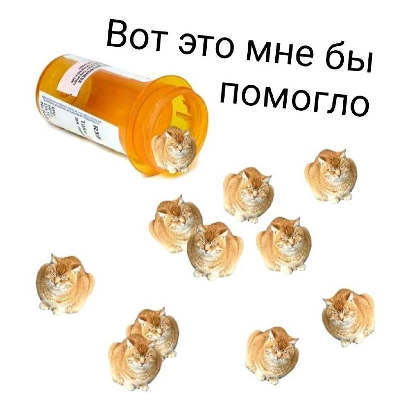 СДВГ мемы