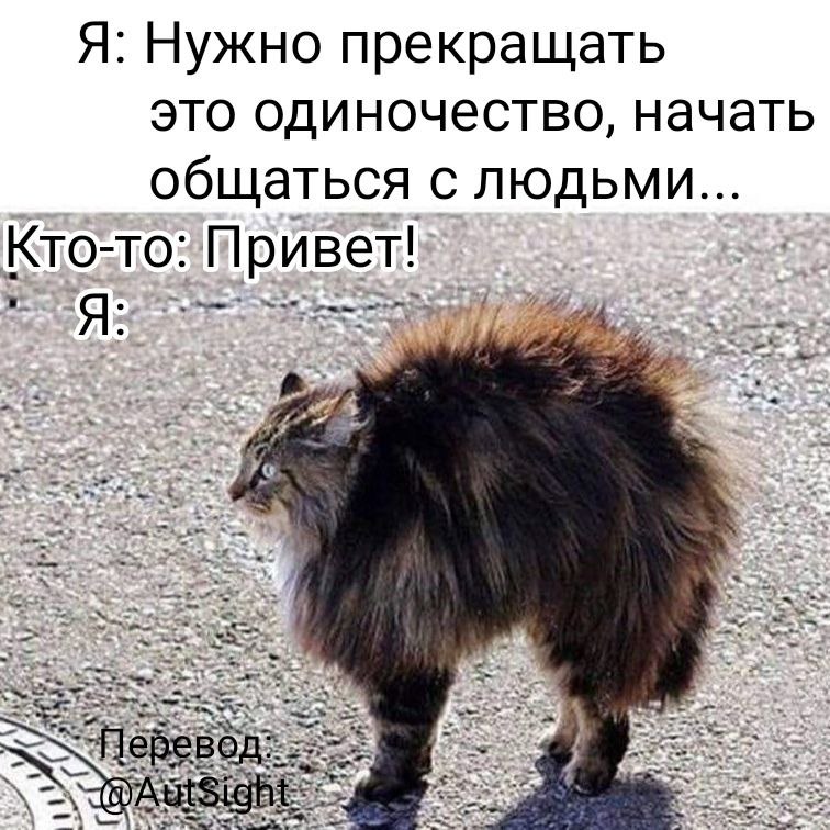 СДВГ мемы