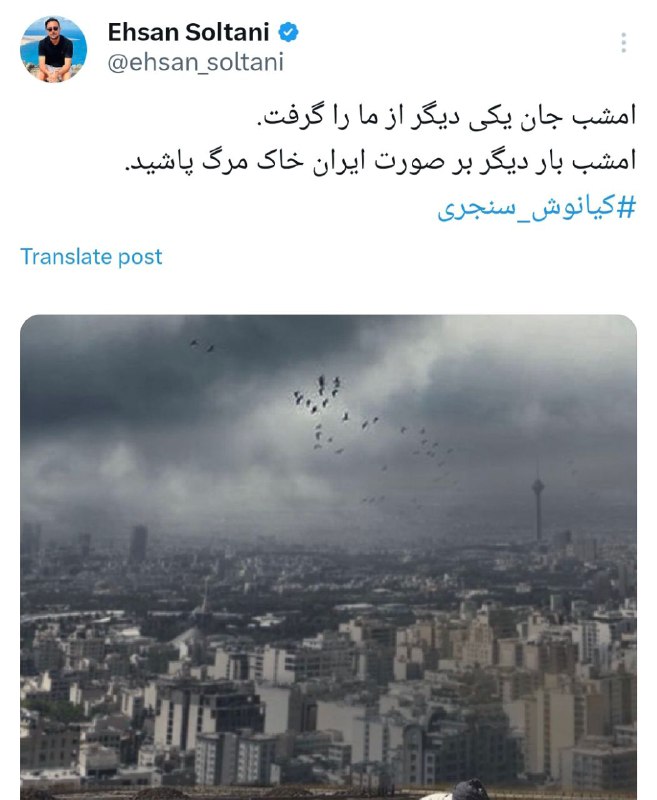 از پلیدیهای استبداد یکی هم این …