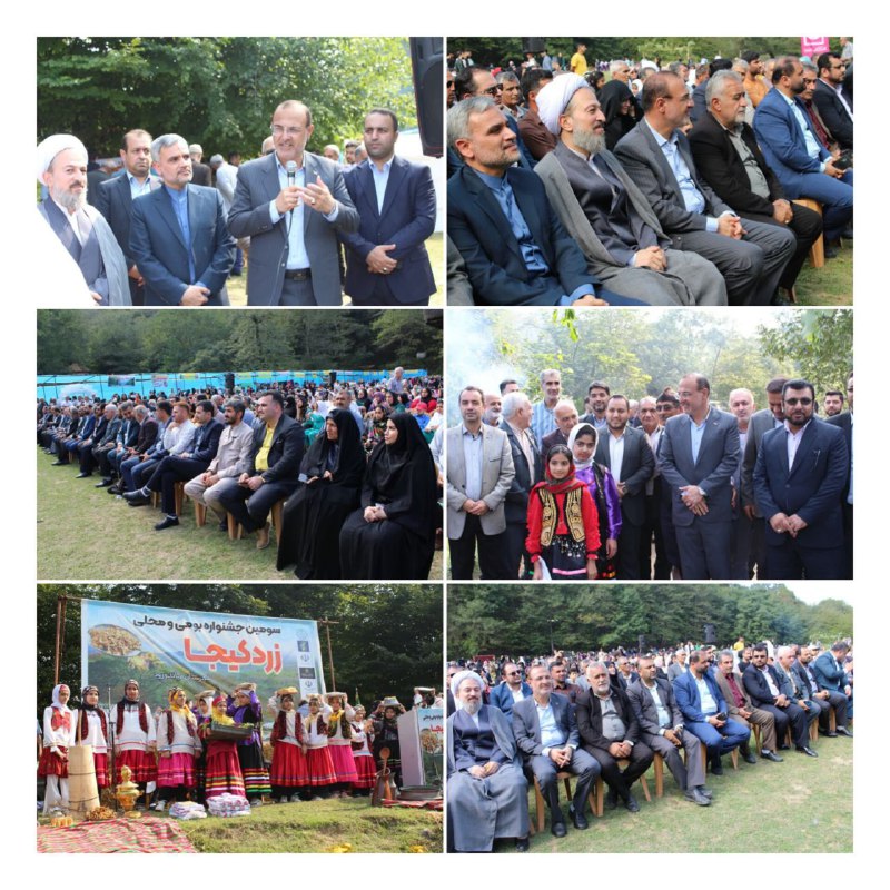 ***?***سومین جشنواره بومی محلی زردکیجا