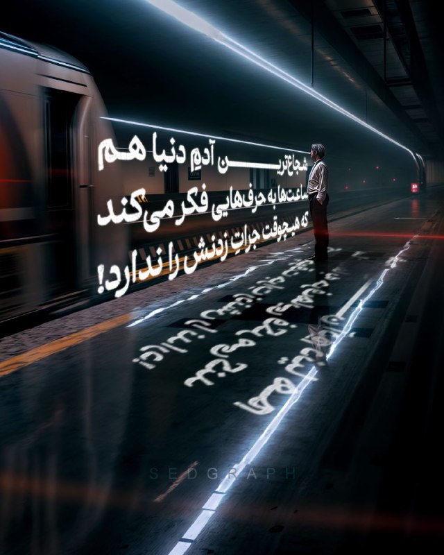 شب‌ها