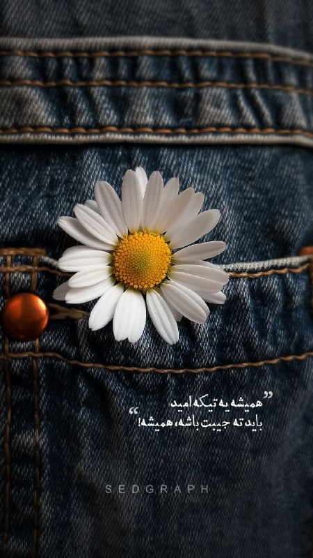 همیشه یه تیکه امید