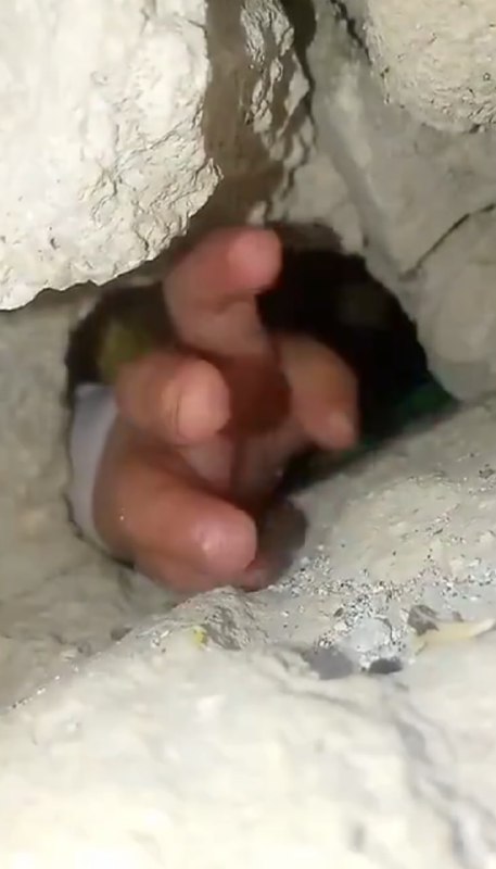 The hand of a Palestinian child …