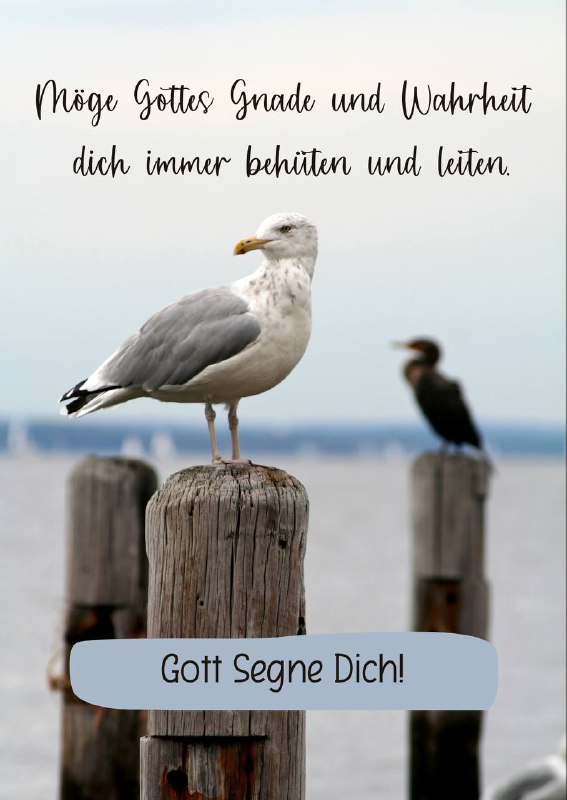 [#Segenswunsch](?q=%23Segenswunsch) [#behütet](?q=%23beh%C3%BCtet) [#Gnade](?q=%23Gnade) [#Wahrheit](?q=%23Wahrheit) [#leiten](?q=%23leiten)