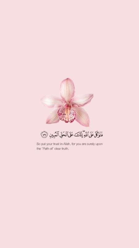 ?? عـالـم الـخـلفيات ??