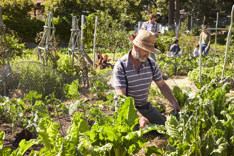 **Gartenarbeit könnte das Hobby sein, mit …