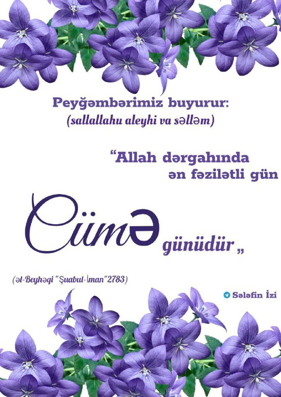 ░ SƏLƏFİN İZİ ░