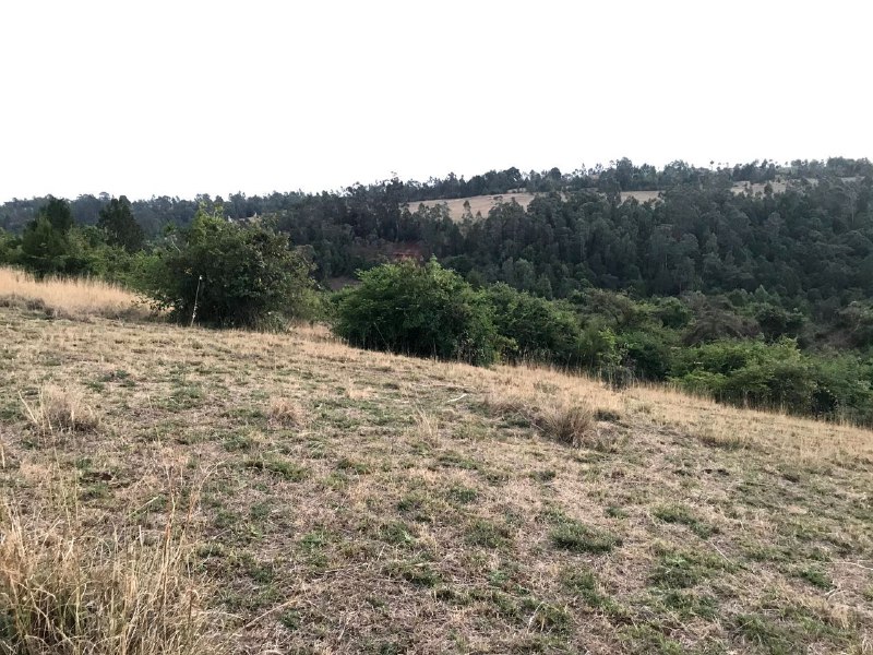 ⓈⒺⓁⓄ ሴሎ Hiking and Camping moments