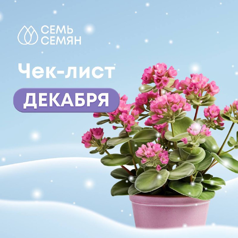 **Декабрьский чек-лист дачника** *****❄️******Дачники не сидят …