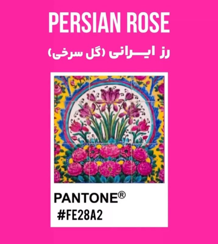 یک دم شادی یک دم غم