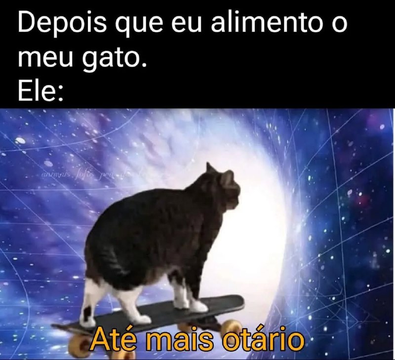 Memes TSAV (+15)