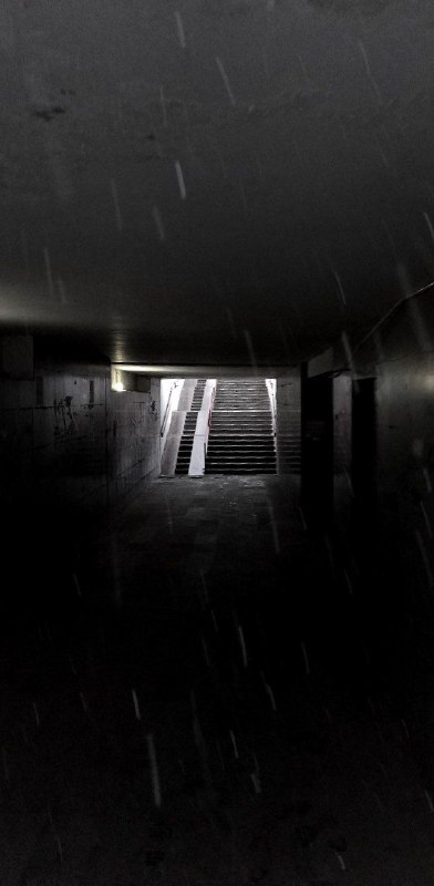 пятиг радует