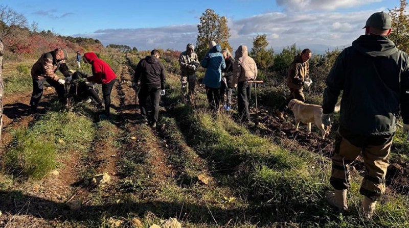 В Севастополе в рамках осенней кампании …