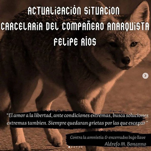 **Actualización Situación Carcelaria Del Compañero Anarquista …