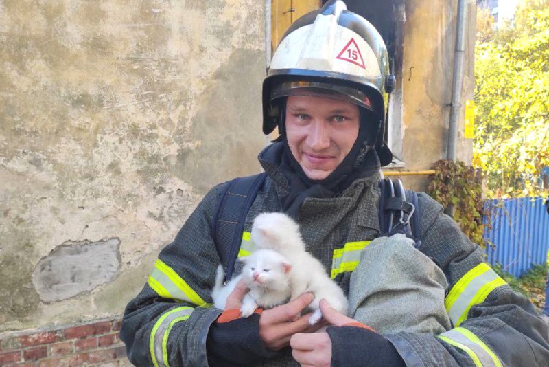 **В Калининградской области при пожаре в …