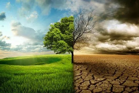 سید آرش حسینی میلانی