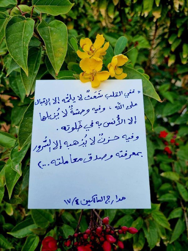 فوائد نافعة