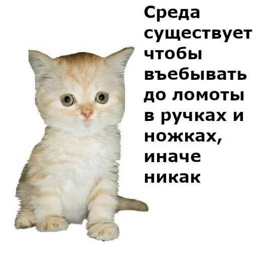 софи