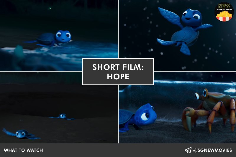 **Short film: HOPE ***🐢*****