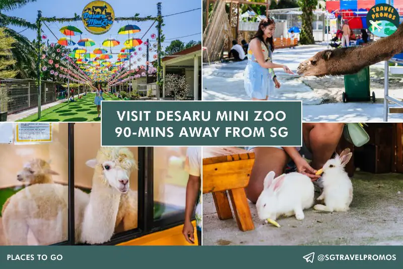 **Visit Desaru Mini Zoo 90-mins away …