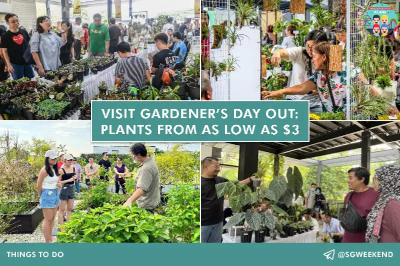 **Visit Gardener’s Day Out: Plants from …
