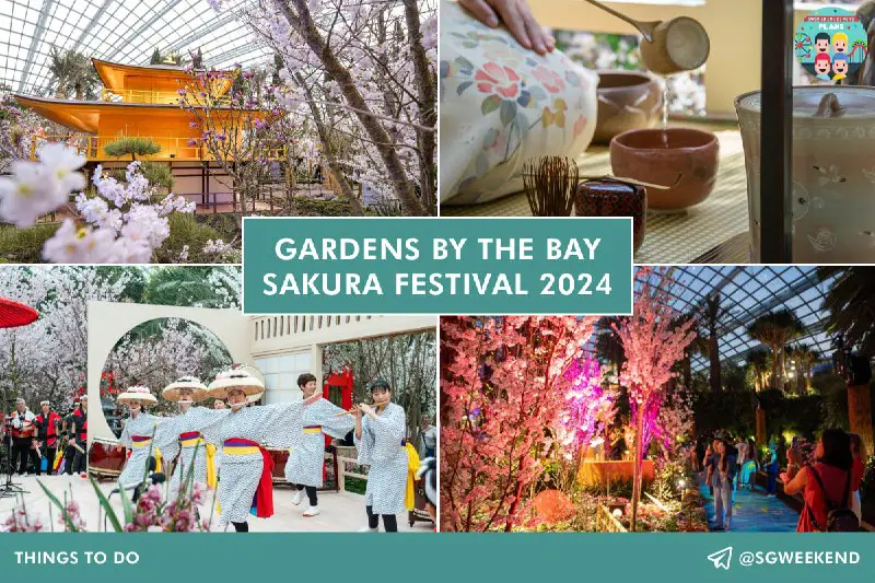 **Gardens by the Bay Sakura Festival …