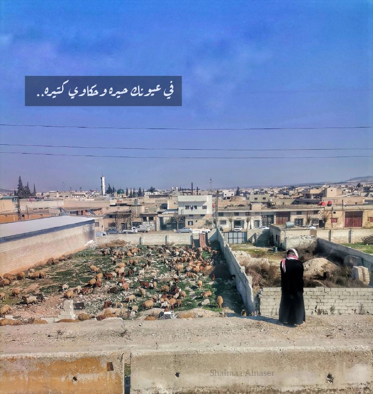 الله يعين الكبار بالعمر ع قد …