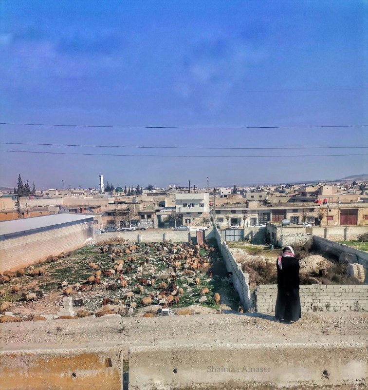 لقطة للذكرى 🧡📷